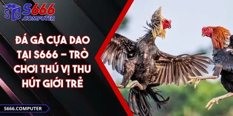 Đá Gà Cựa Dao Tại S666 - Trò Chơi Thú Vị Thu Hút Giới Trẻ