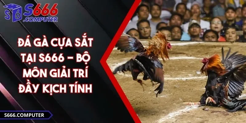 Đá Gà Cựa Sắt Tại S666 - Bộ Môn Giải Trí Đầy Kịch Tính