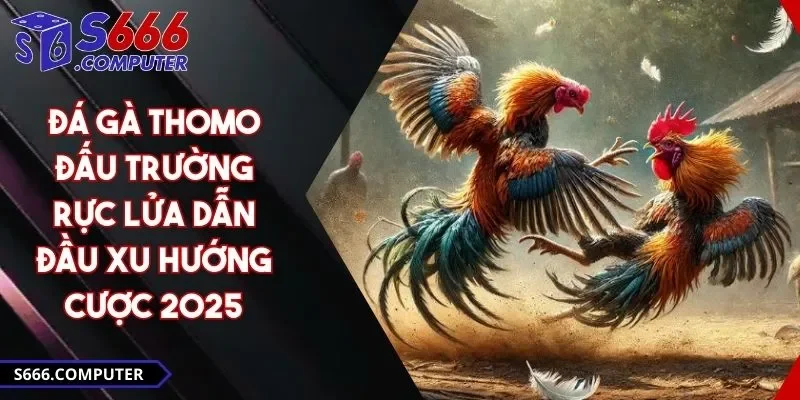 Đá Gà Thomo - Đấu Trường Rực Lửa Dẫn Đầu Xu Hướng Cược 2025